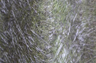 Hope Park fibreglass roof work